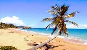 Parador Palmas De Lucia Yabucoa Hotell